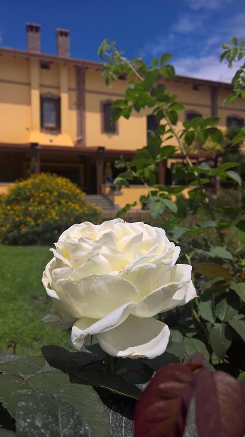 Boma Countryhouse Casale Bufalotta Екстериор снимка